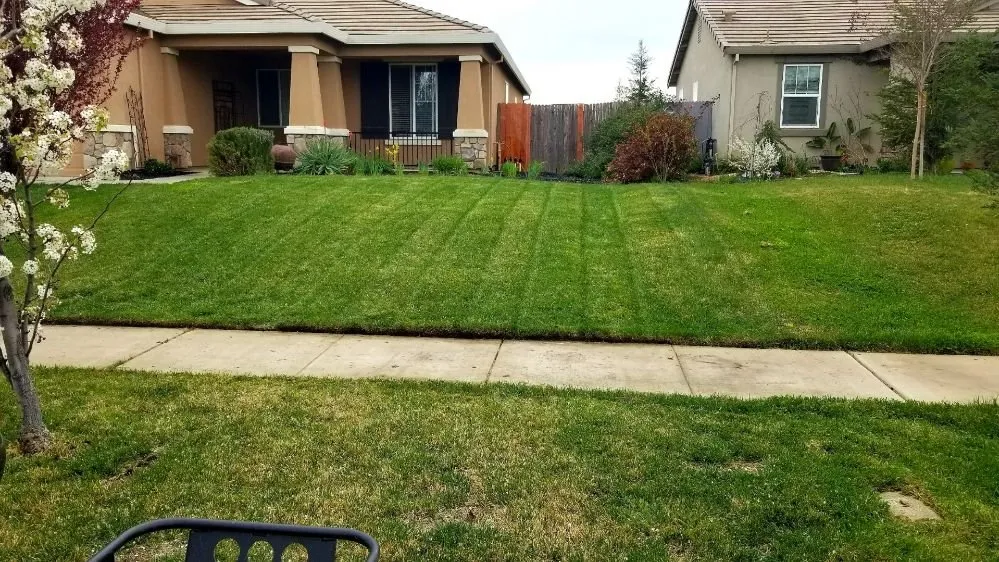 Professional residential landscaping for outdoor upgrades in Sutter, CA by Feather River Lawn Maintenance