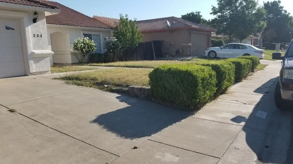 Top-rated landscape installation experts serving Sutter, CA - Feather River Lawn Maintenance