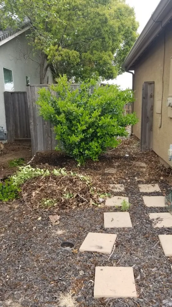 Custom landscape design for beautiful yards across Sutter, CA - Feather River Lawn Maintenance