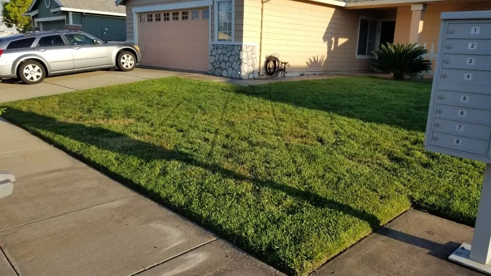 Trusted landscape installation in Sutter, CA by Feather River Lawn Maintenance