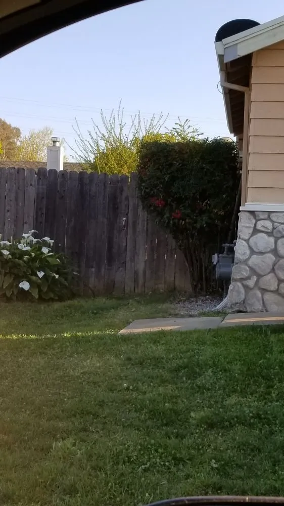 Professional landscaping services in Sutter, CA by Feather River Lawn Maintenance