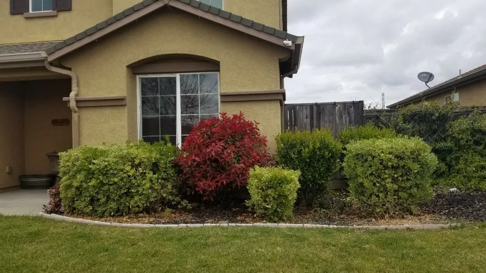 Reliable garden landscaping in Sutter, CA - Feather River Lawn Maintenance