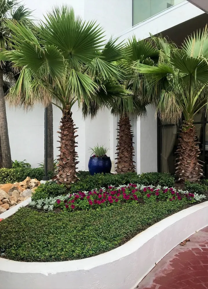 Expert yard cleanup service in Ormond Beach, FL by Feathercut Nursery & Design