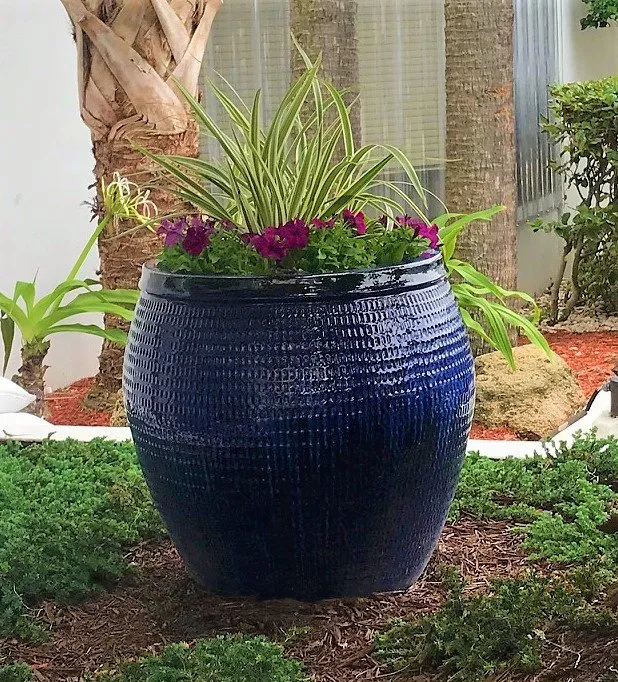 Top-rated outdoor landscaping for residential properties across Ormond Beach, FL - Feathercut Nursery & Design