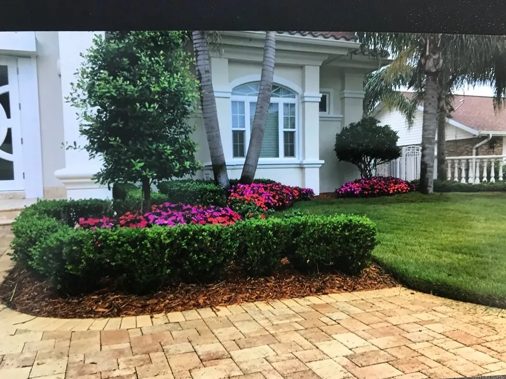 Professional residential landscaping in Ormond Beach, FL - Feathercut Nursery & Design