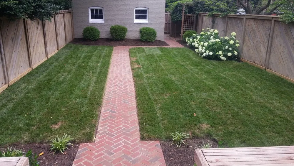 Affordable yard cleanup service experts serving Richmond, VA - Feather'd Touch