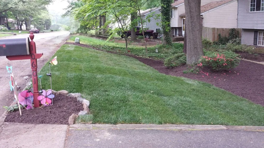 Affordable outdoor landscaping with custom design across Richmond, VA - Feather'd Touch