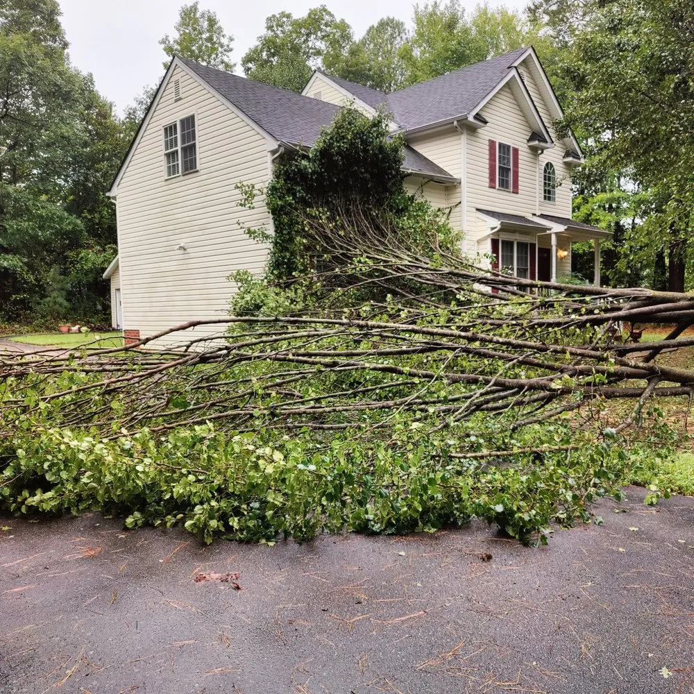 Professional yard maintenance in Richmond, VA by Feather'd Touch