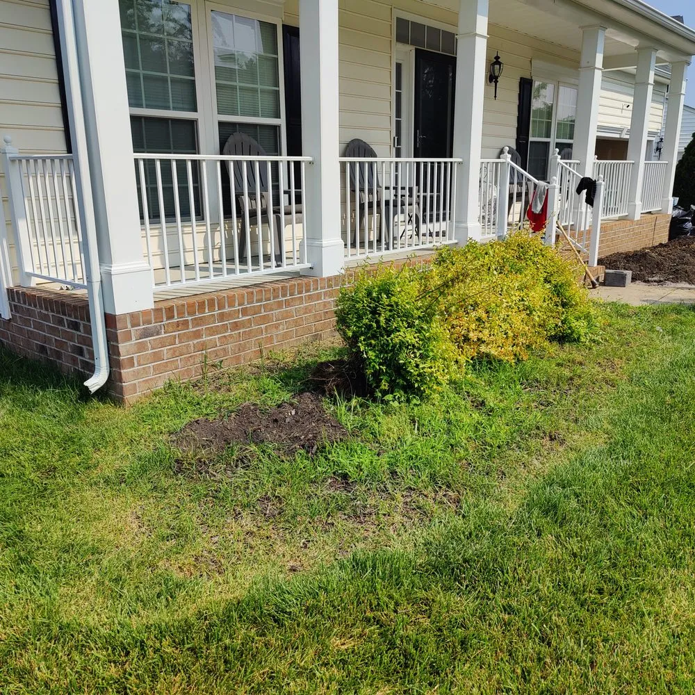 Expert yard maintenance for outdoor upgrades across Richmond, VA - Feather'd Touch