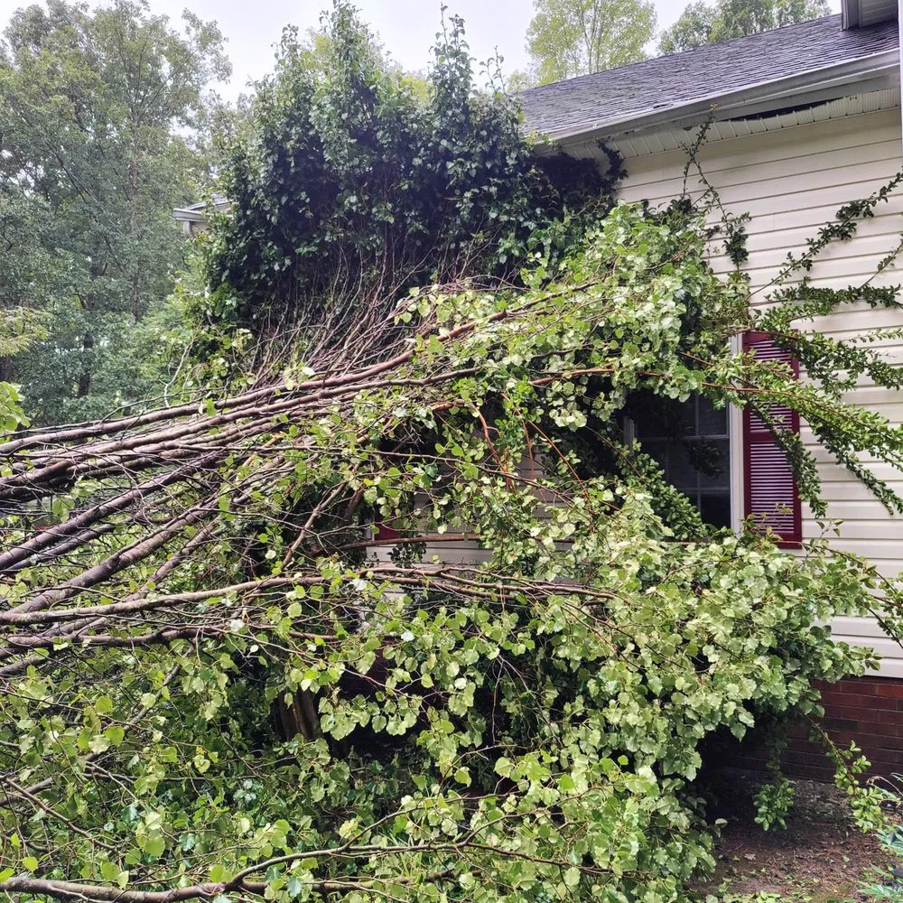 Expert outdoor landscaping in Richmond, VA - Feather'd Touch