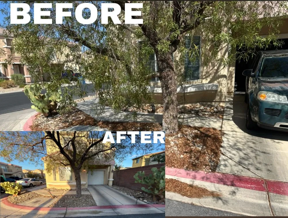 Top-rated landscape design experts serving Las Vegas, NV - Feathered Greens Yard Maintenance