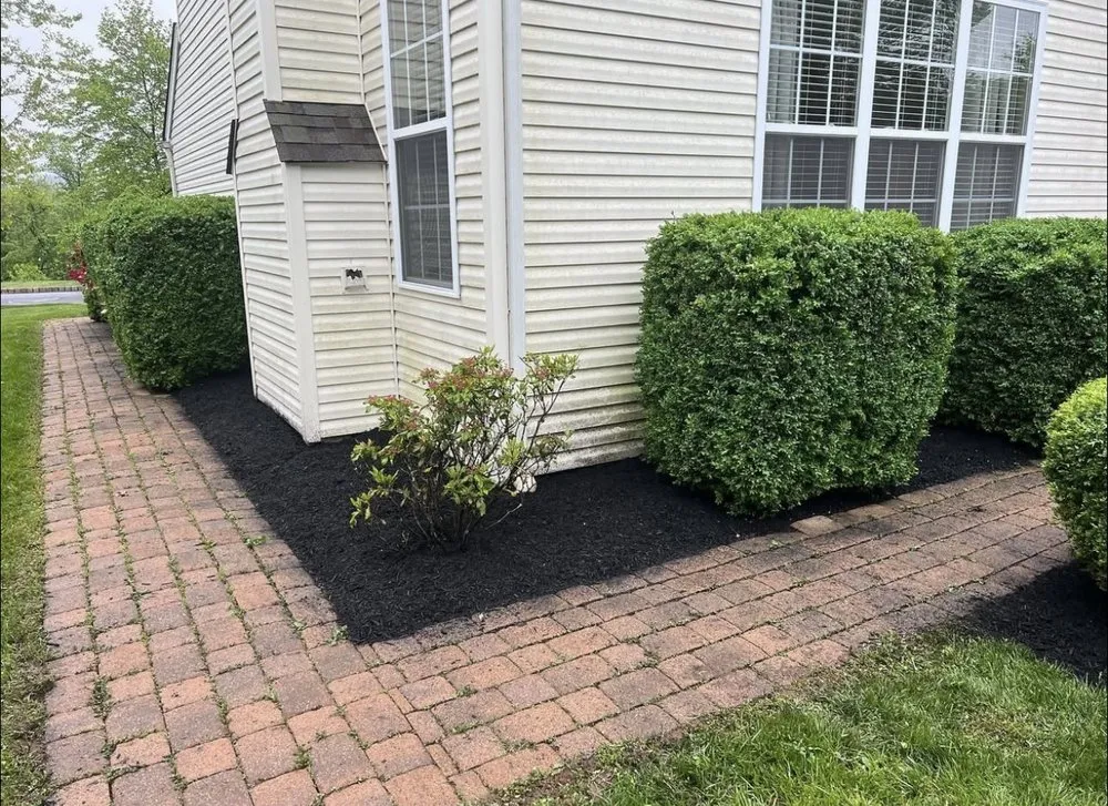 Reliable lawn care service in Richboro, PA by Fedele Lawn Care