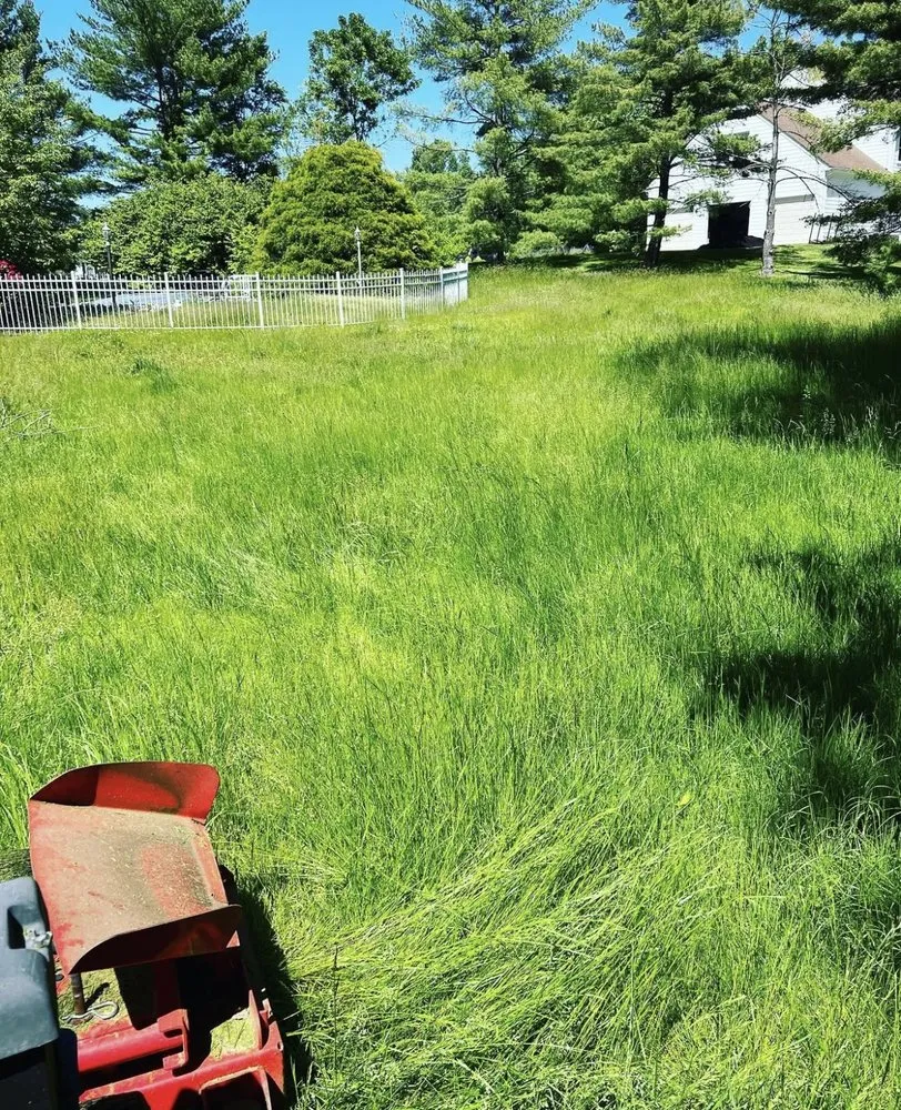 Trusted lawn mowing service for year-round maintenance across Richboro, PA - Fedele Lawn Care