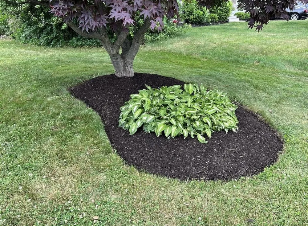 Expert residential landscaping for residential properties across Richboro, PA - Fedele Lawn Care