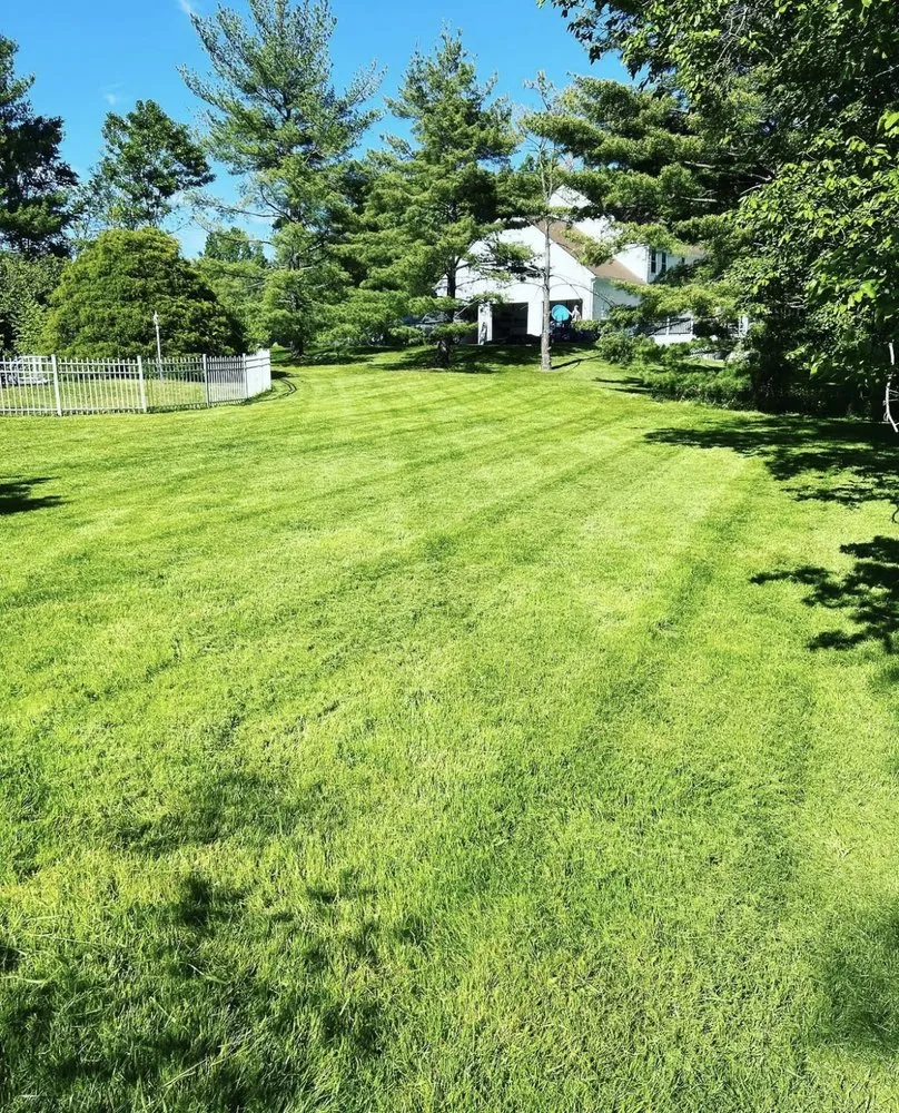 Expert lawn care service in Richboro, PA - Fedele Lawn Care