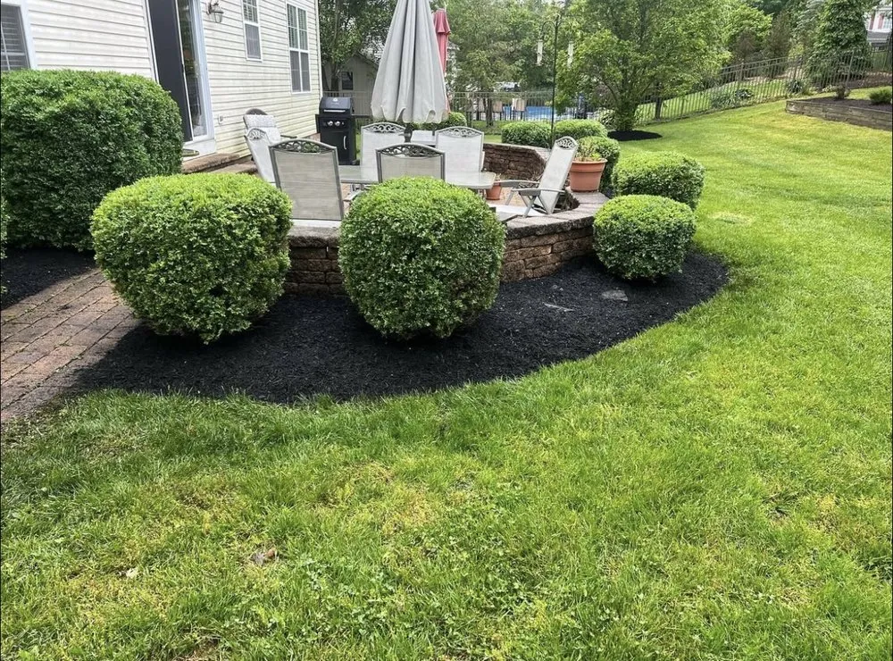 Expert yard cleanup service near you in Richboro, PA by Fedele Lawn Care
