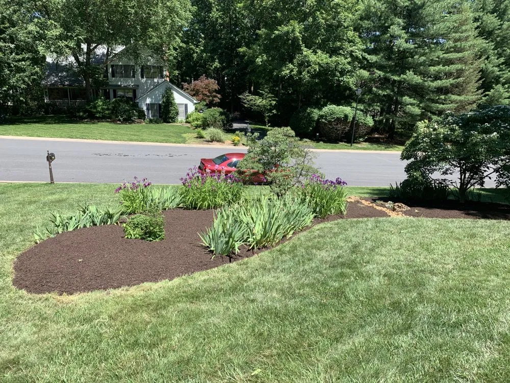 Expert yard cleanup service in Newark, DE by Federico Alvarez Landscaping