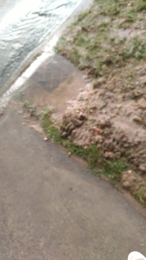 Expert landscape installation for year-round maintenance across Newark, DE - Federico Alvarez Landscaping