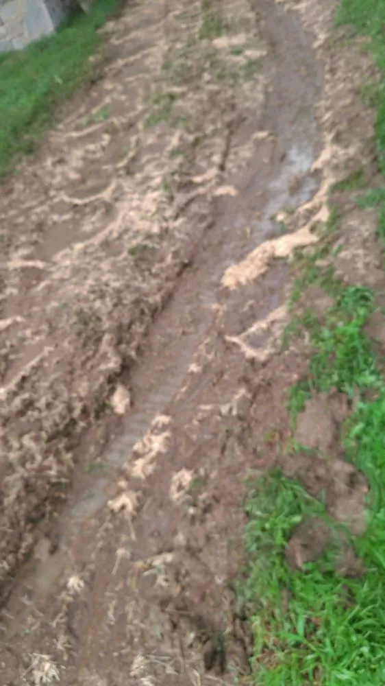 Top-rated outdoor landscaping in Newark, DE - Federico Alvarez Landscaping