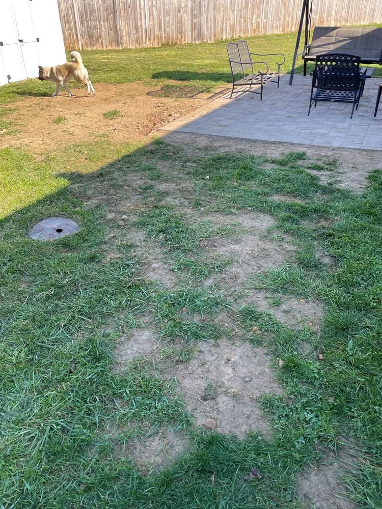 Expert landscaping services in Newark, DE by Federico Alvarez Landscaping