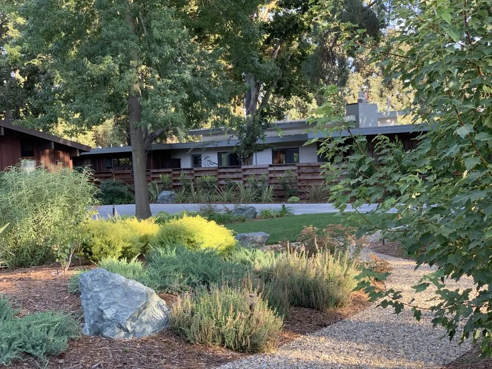 Professional yard cleanup service experts serving Davis, CA - Fedrizzi Landscape Design