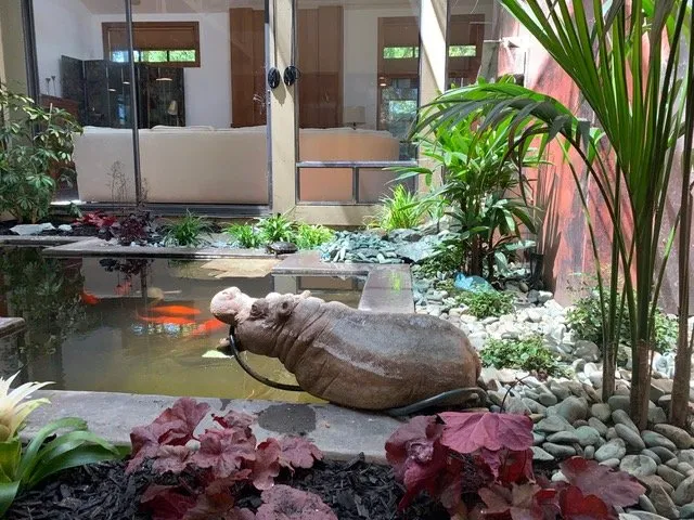 Expert landscape installation in Davis, CA - Fedrizzi Landscape Design