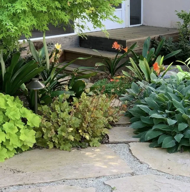 Custom lawn mowing service in Davis, CA by Fedrizzi Landscape Design