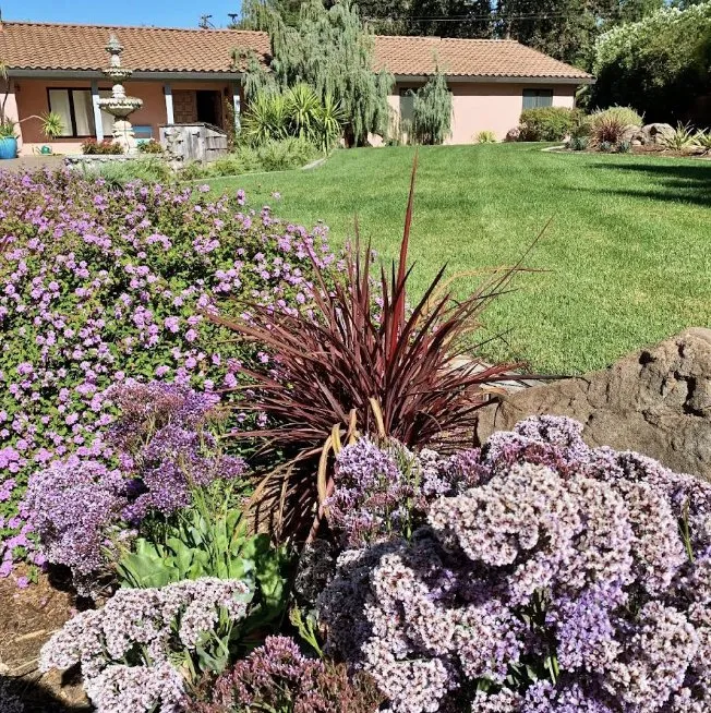 Affordable garden landscaping in Davis, CA - Fedrizzi Landscape Design