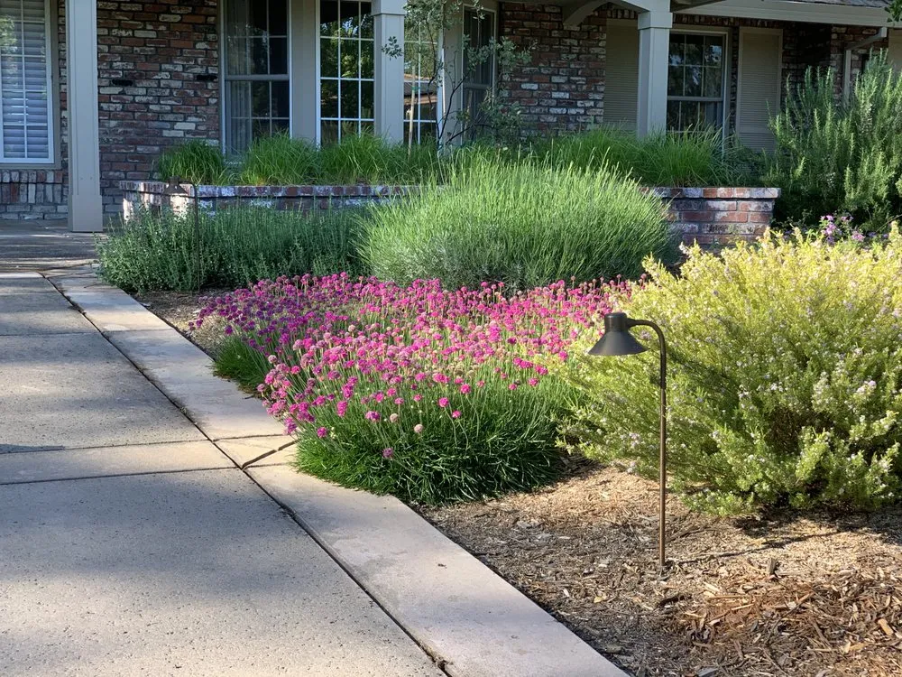 Affordable garden landscaping in Davis, CA - Fedrizzi Landscape Design