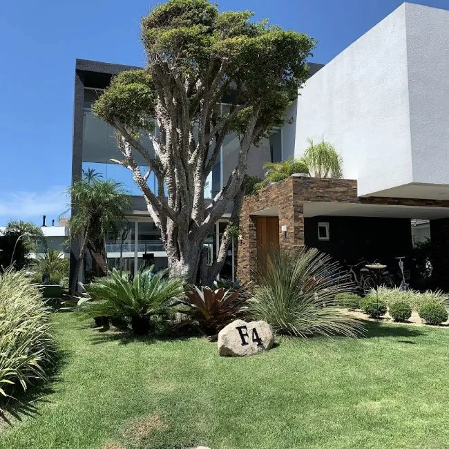 Local yard cleanup service with custom design in Davis, CA by Fedrizzi Landscape Design