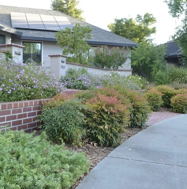 Reliable lawn care service experts serving Davis, CA - Fedrizzi Landscape Design