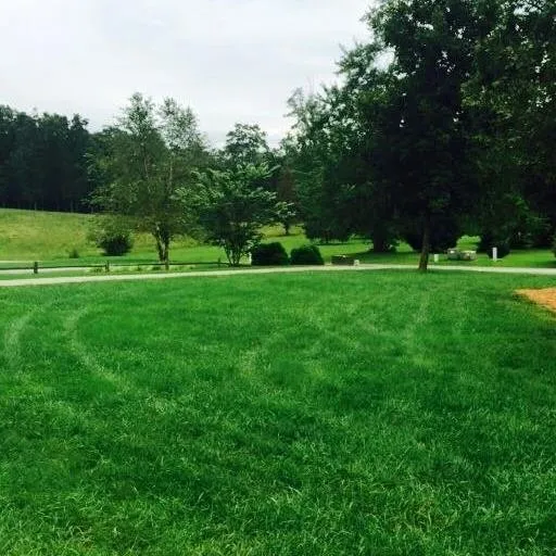 Expert landscape design in Crossville, TN - FEED A LAWN