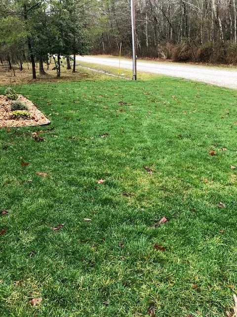 Professional lawn mowing service for homes in Crossville, TN by FEED A LAWN