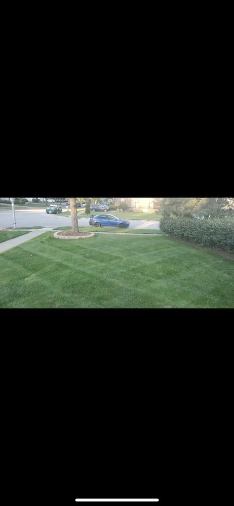 Local landscape design in Elgin, IL - Feed And Spray Solutions