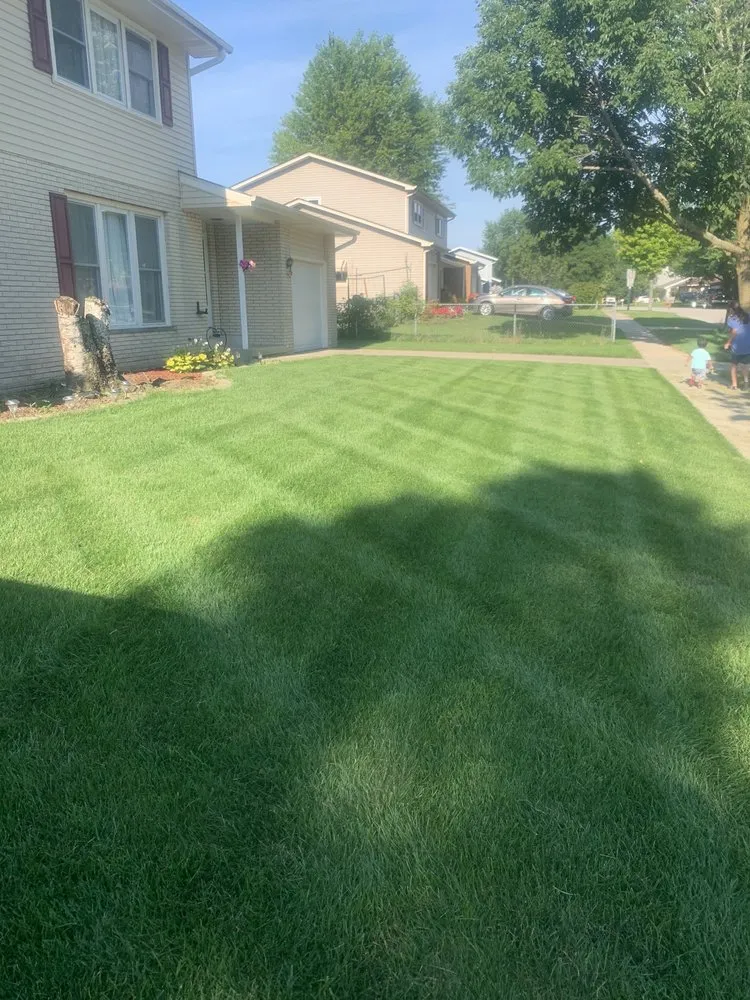 Affordable lawn care service in Elgin, IL - Feed And Spray Solutions