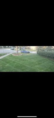 Feed And Spray Solutions