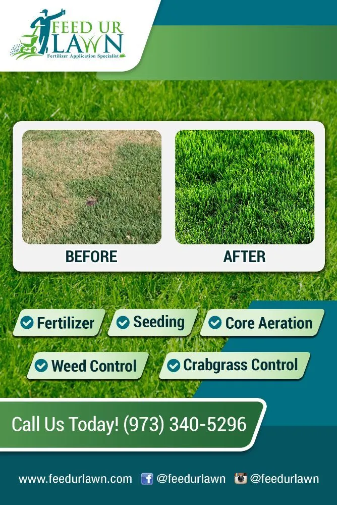 Expert lawn mowing service for year-round maintenance across Garfield, NJ - Feed Ur Lawn