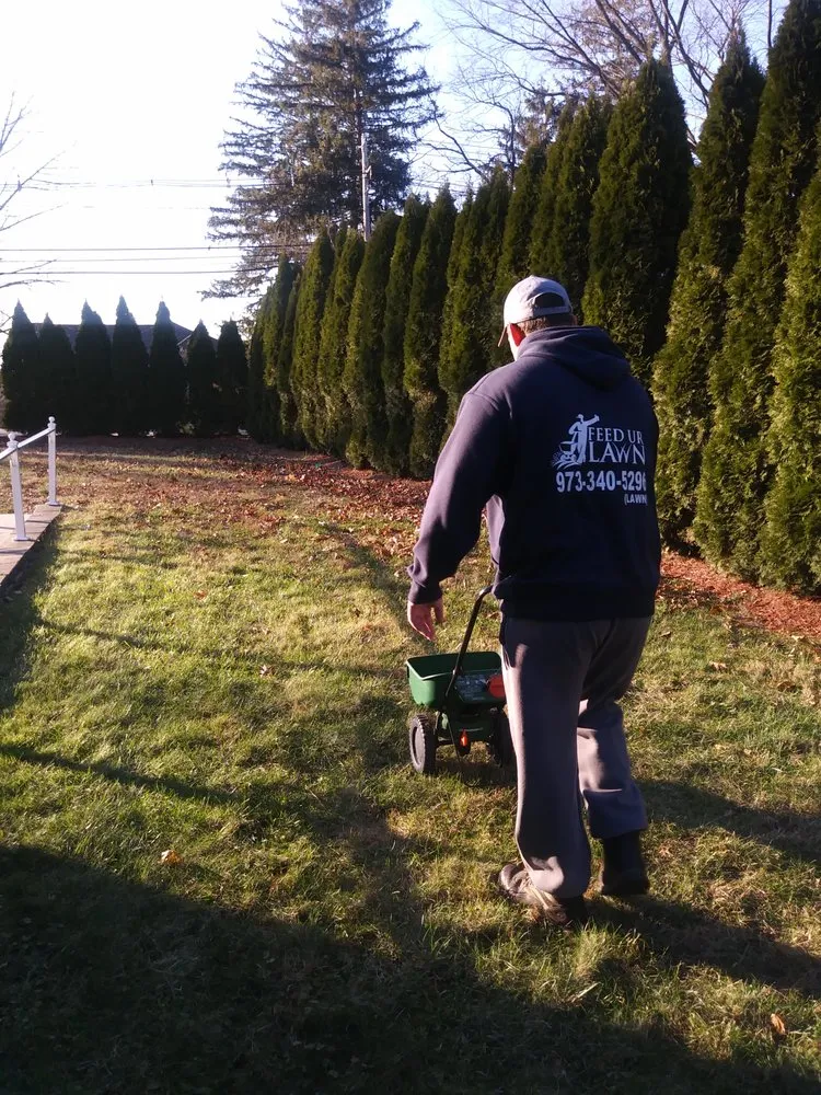 Top-rated yard cleanup service for outdoor upgrades in Garfield, NJ by Feed Ur Lawn