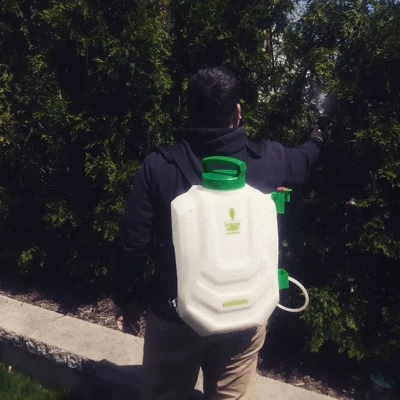 Custom landscape design in Garfield, NJ by Feed Ur Lawn