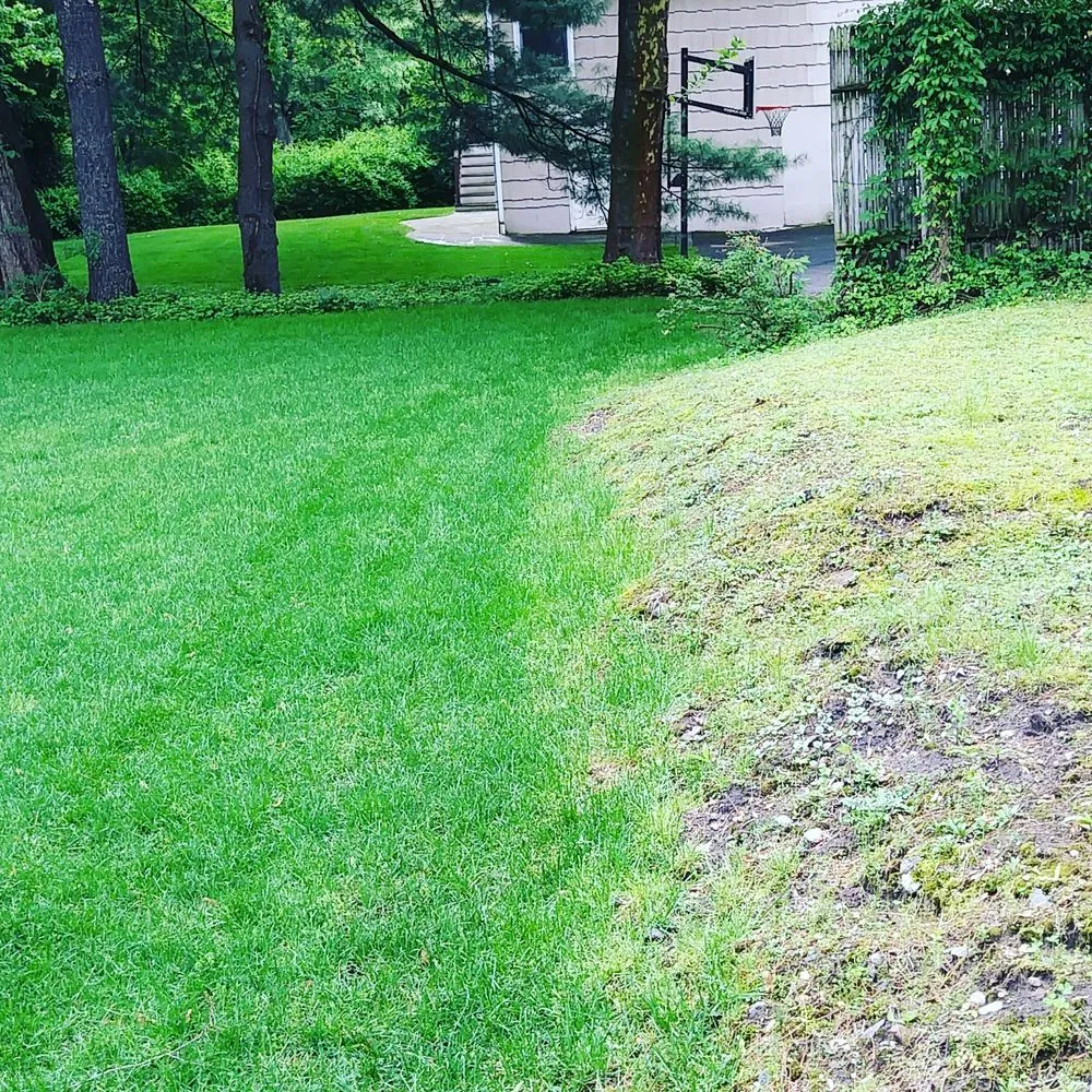 Affordable outdoor landscaping with custom design in Garfield, NJ by Feed Ur Lawn