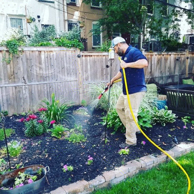 Reliable landscape installation for year-round maintenance in Garfield, NJ by Feed Ur Lawn