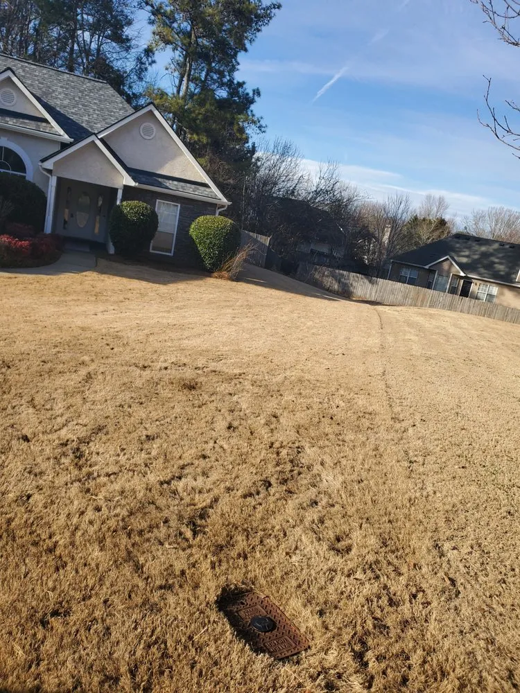 Expert yard cleanup service near you in McDonough, GA by Feel Good Landscaping