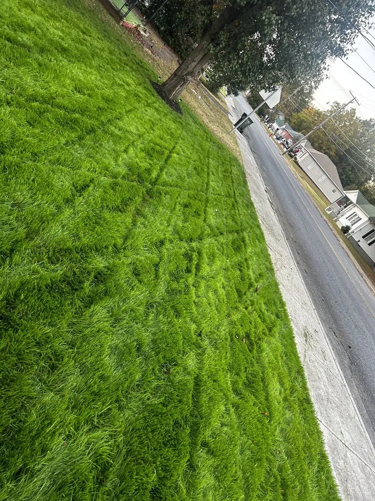 Custom lawn care service in Bessemer City, NC by Feemsters Lawncare