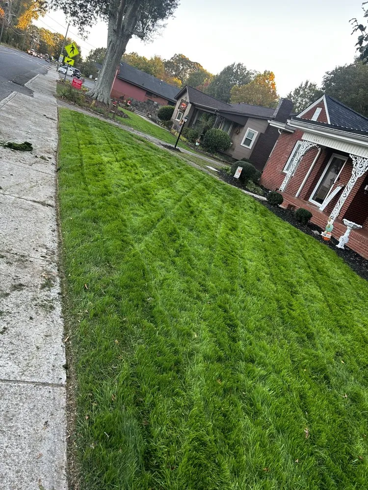 Top-rated landscape installation experts serving Bessemer City, NC - Feemsters Lawncare