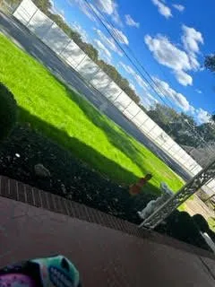 Professional lawn mowing service for residential properties in Bessemer City, NC by Feemsters Lawncare