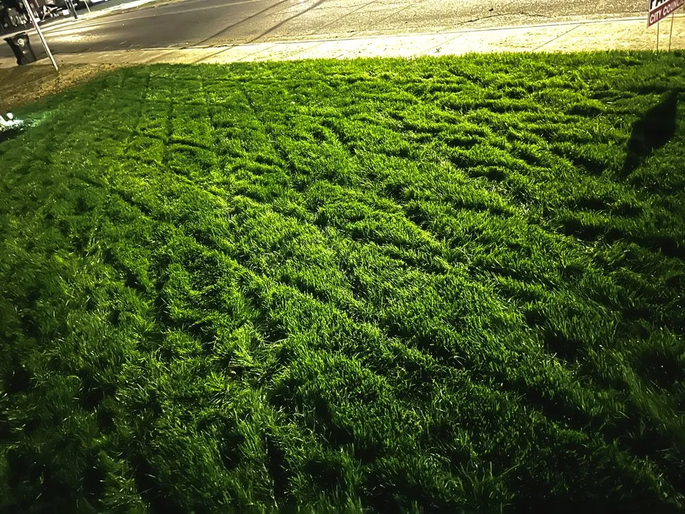 Top-rated landscape installation in Bessemer City, NC - Feemsters Lawncare