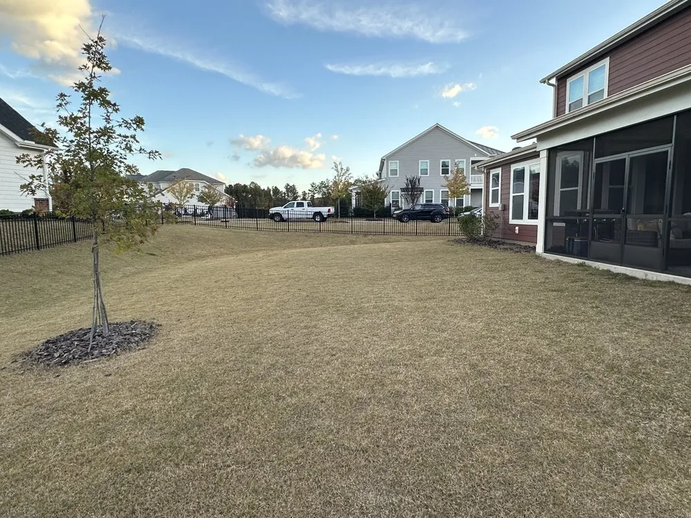 Trusted residential landscaping experts serving Bessemer City, NC - Feemsters Lawncare