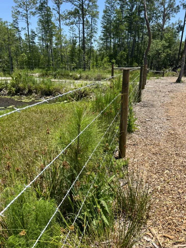 Affordable yard maintenance in Wildwood, FL by Feeney Fencing & Services