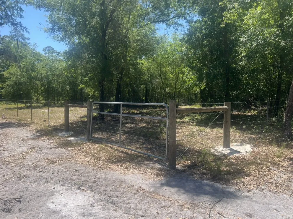 Local residential landscaping for beautiful yards across Wildwood, FL - Feeney Fencing & Services