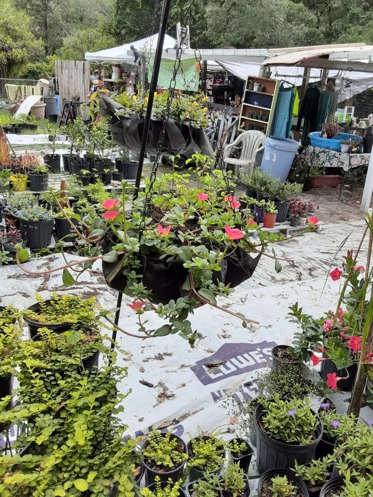 Reliable garden landscaping in New Port Richey, FL - Feger's Nursery